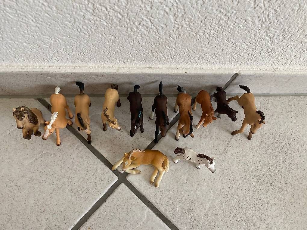 Schleich Spielzeuge: Schleich 12 Stück Fohlen – Gebraucht aus Otelfingen von Schlaedde 2
