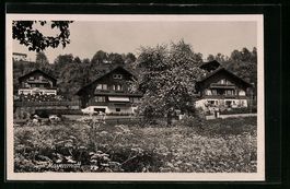 AK Oberägeri, Maienmatt im Frühling