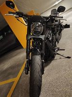 Harley Davidson V Rod Nicht Rod Cult Werk