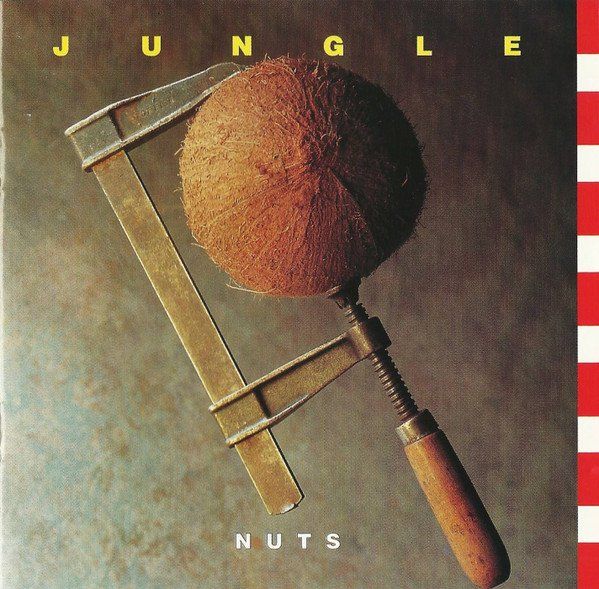 CDs: Jungle – Nuts - Vergriffene Swiss Rock! - b – D'occasion à Brittnau par Zibu
