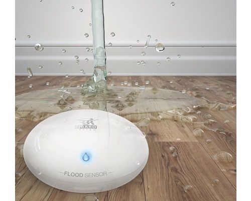 Fibaro Sistemi d'allarme: Fibaro Wassermelder mit Temperatursensor – Usato da Siebnen venduto da Gold_75 2