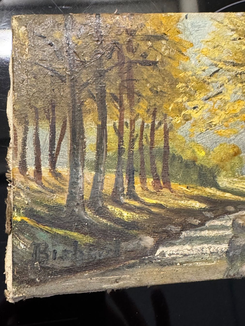 Dipinti: Original Ölgemälde Herbstwald im Rahmen – Usato da Schwerzenbach venduto da schwerzi70 2