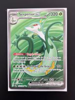 Pokemon Serperior ex 156 Black Bolt Full Art