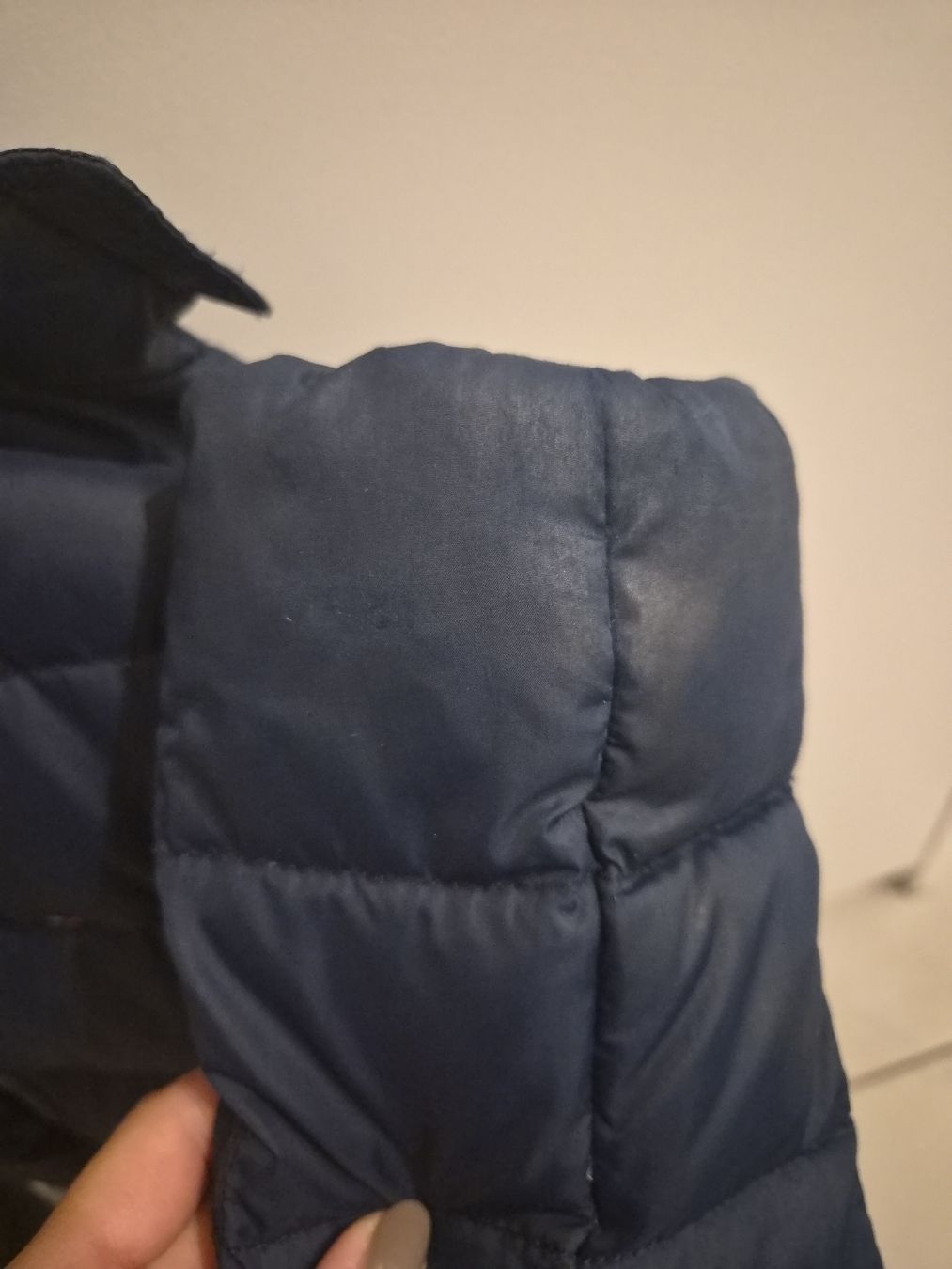 Tommy Hilfiger Giacche & Cappotti: Tommy Hilfiger Daunenjacke – Nuovo (secondo la descrizione) da Volketswil venduto da 2000ra 3