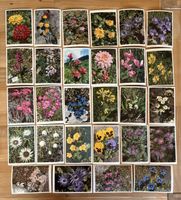 AK mit Blumen Motiv