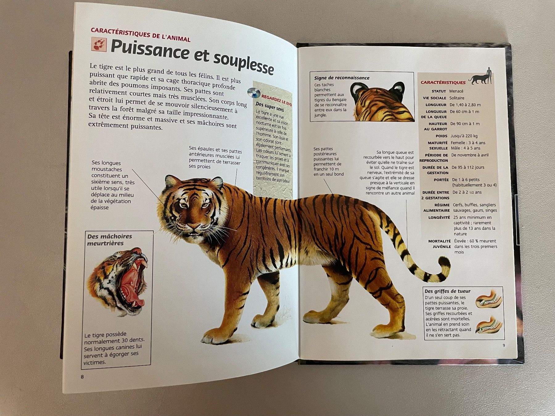 Tous les DVDs: DVD -TIGRE des Marais- – D'occasion à Küsnacht ZH par Haus65 3