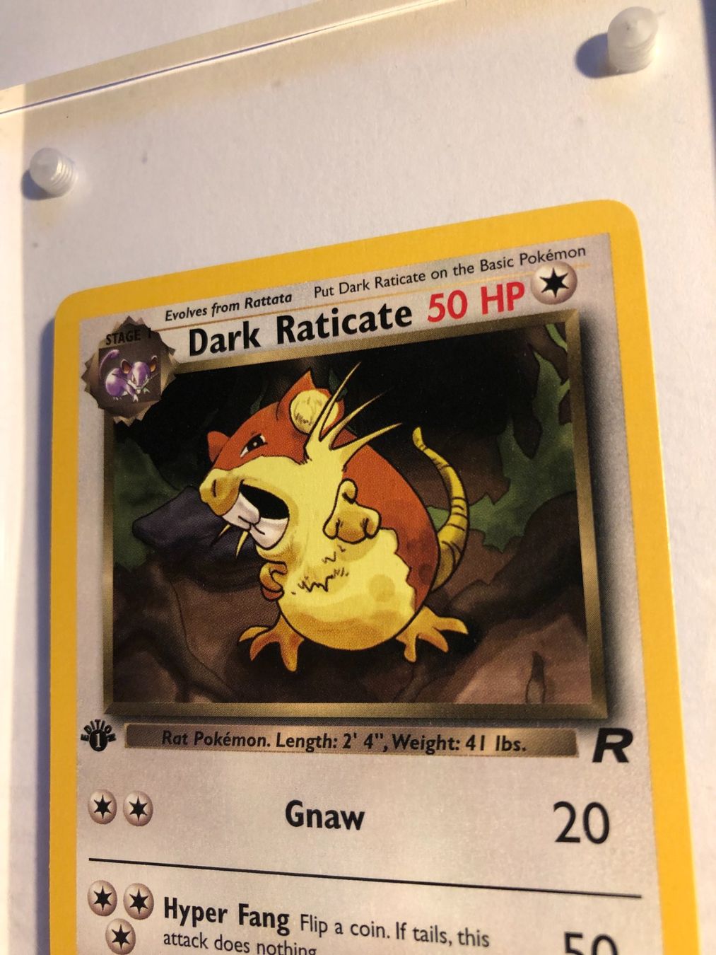 Sammelbilder & Trading cards: Dark Raticate 1st Team Rocket - MINT - ab 1.- – Gebraucht aus Giubiasco von dan_pr8b 3