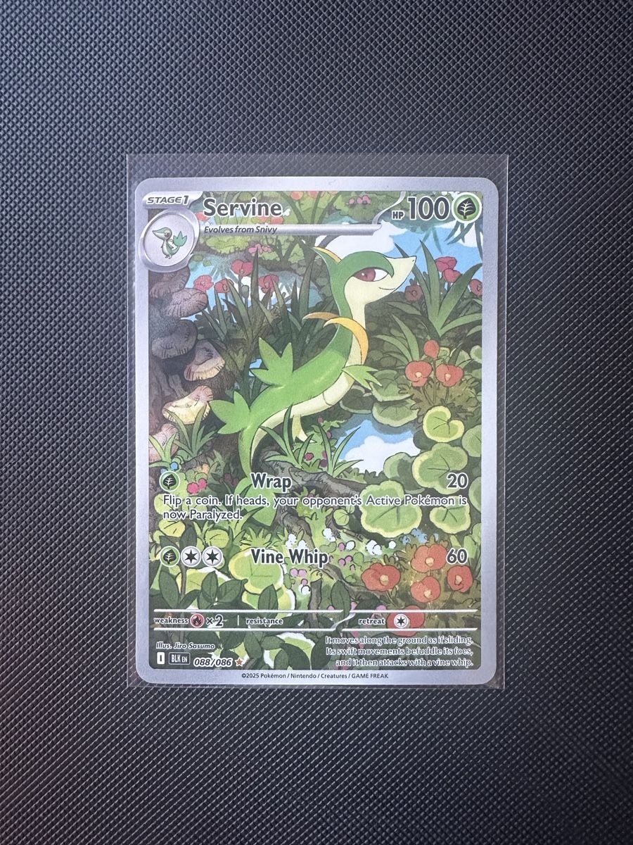 Pokémon Carte collezionabili: Servine - Pokemon  Black Bolt - 88/86 EN – Usato da Möhlin venduto da ChariShop-TCG