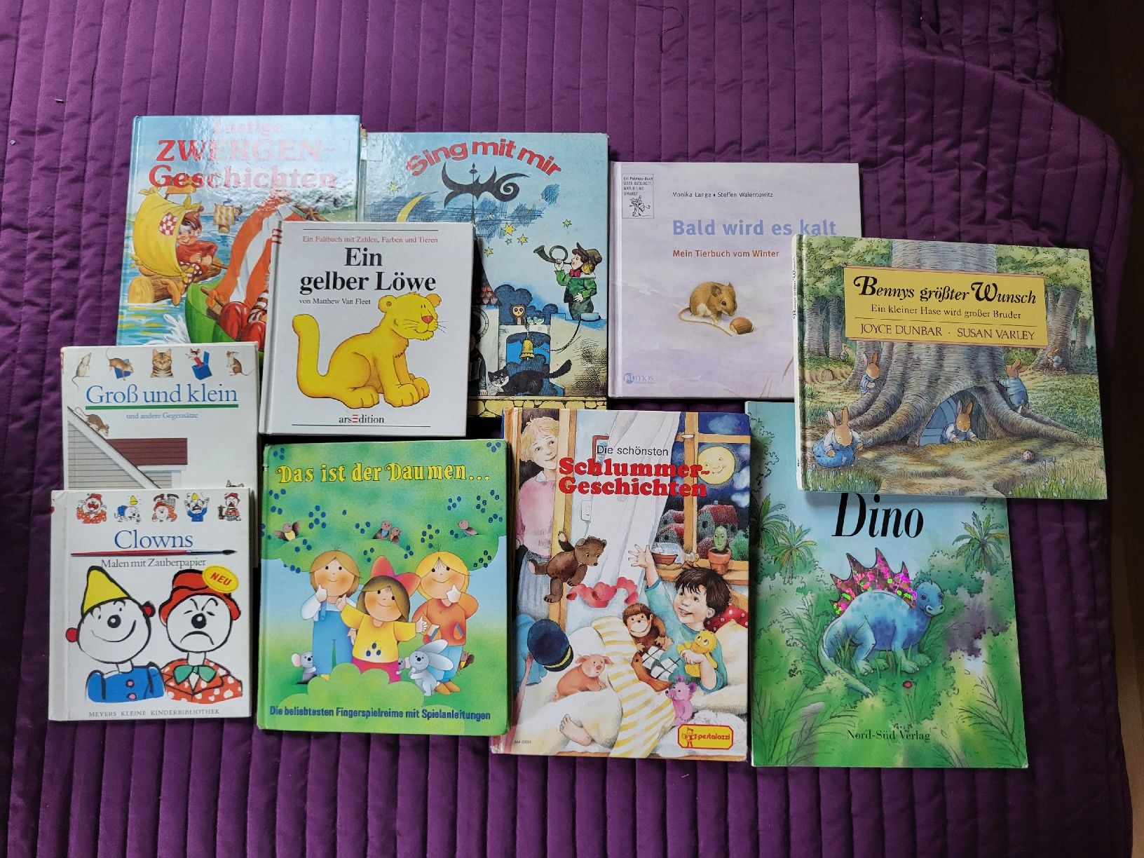 Bücher: Bücherpaket Kinderbücher – Gebraucht aus Kandersteg von sli_7