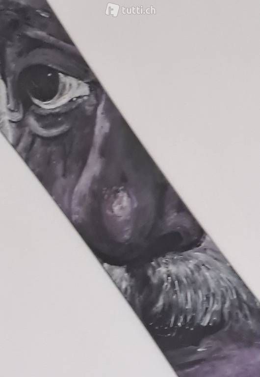 Foto & Immagini: Bild von "Albert Einstein" auf Snowboard gemalt... – Usato da Stans venduto da wer_fd5f 2