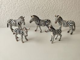 Schleich Zebra Familie Wild Life Zoo Tiere Herde