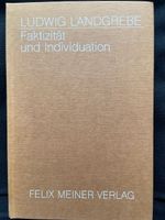 Faktizität und Individuation