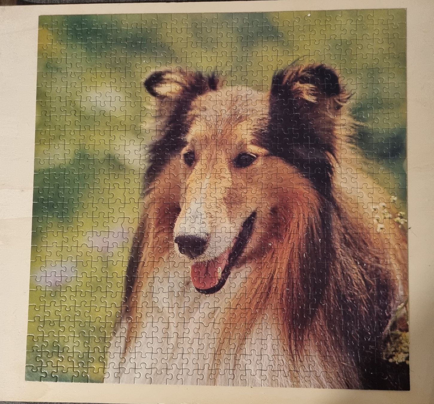 Ravensburger Puzzle: Puzzle "Collie" 600 Teile Ravensburger – Usato da Gams venduto da federli29 1