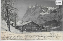 Grindelwald - Wetterhorn im Winter 1903