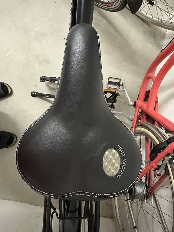 Biciclette: Velo Villiger Diamant  old cool – Usato da Zürich venduto da georg17 2