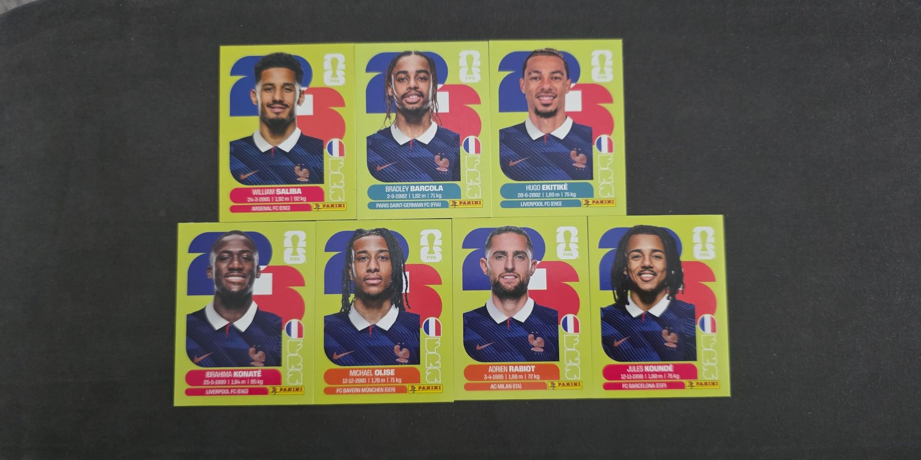 Panini Carte collezionabili: Panini WM 2026 Frankreich  – Usato da St. Gallen venduto da Shelly__x3