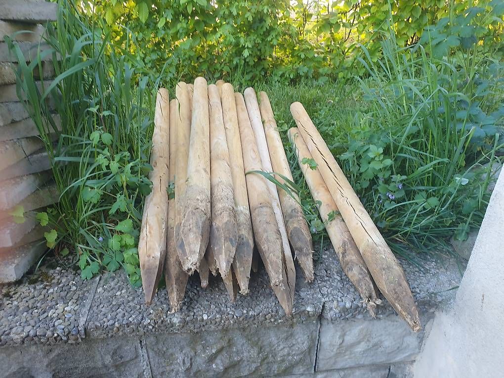 Articoli in legno: Baumpfähle Holzpfähle – Usato da Niederwil AG venduto da Acantik