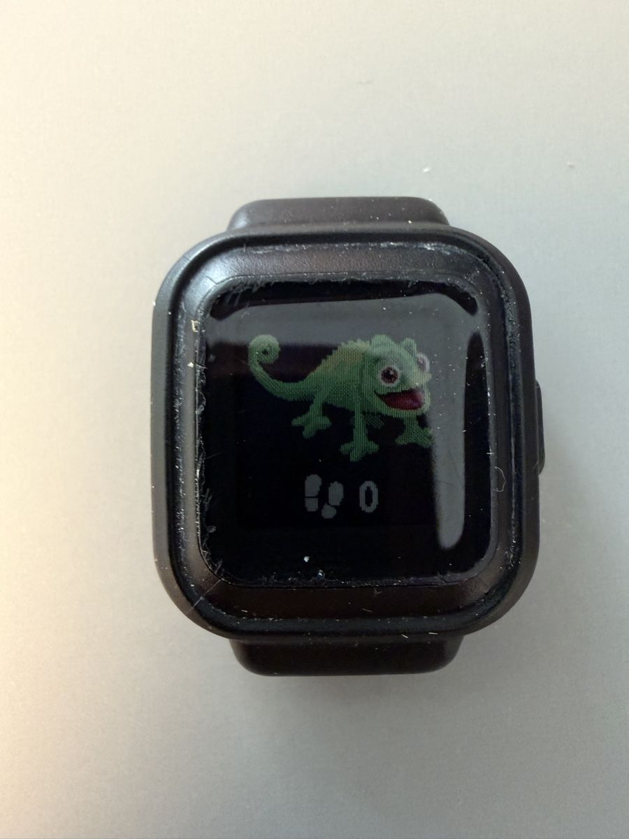 Garmin Smartwatch: GARMIN vivofit jr.3 – Usato da Berikon venduto da spaeck82 3