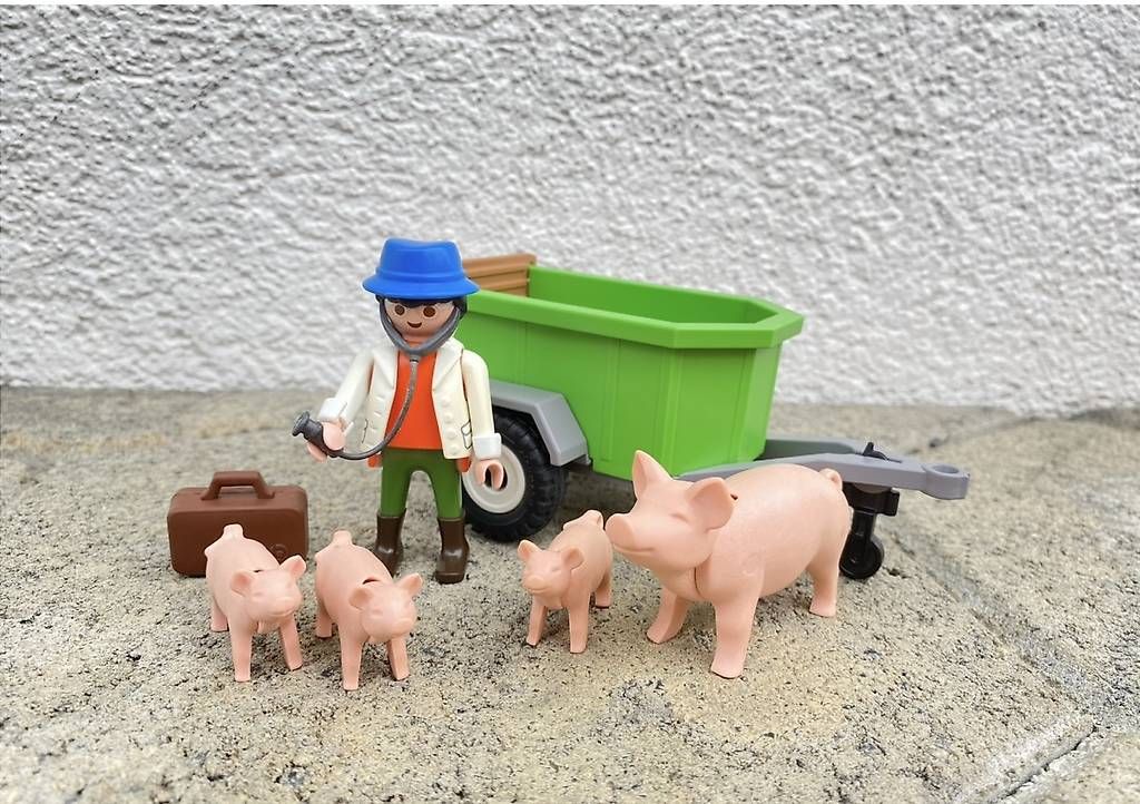 Giocattoli: Playmobil Tierarzt mit Schweine – Usato da Sarnen venduto da Sejosa15
