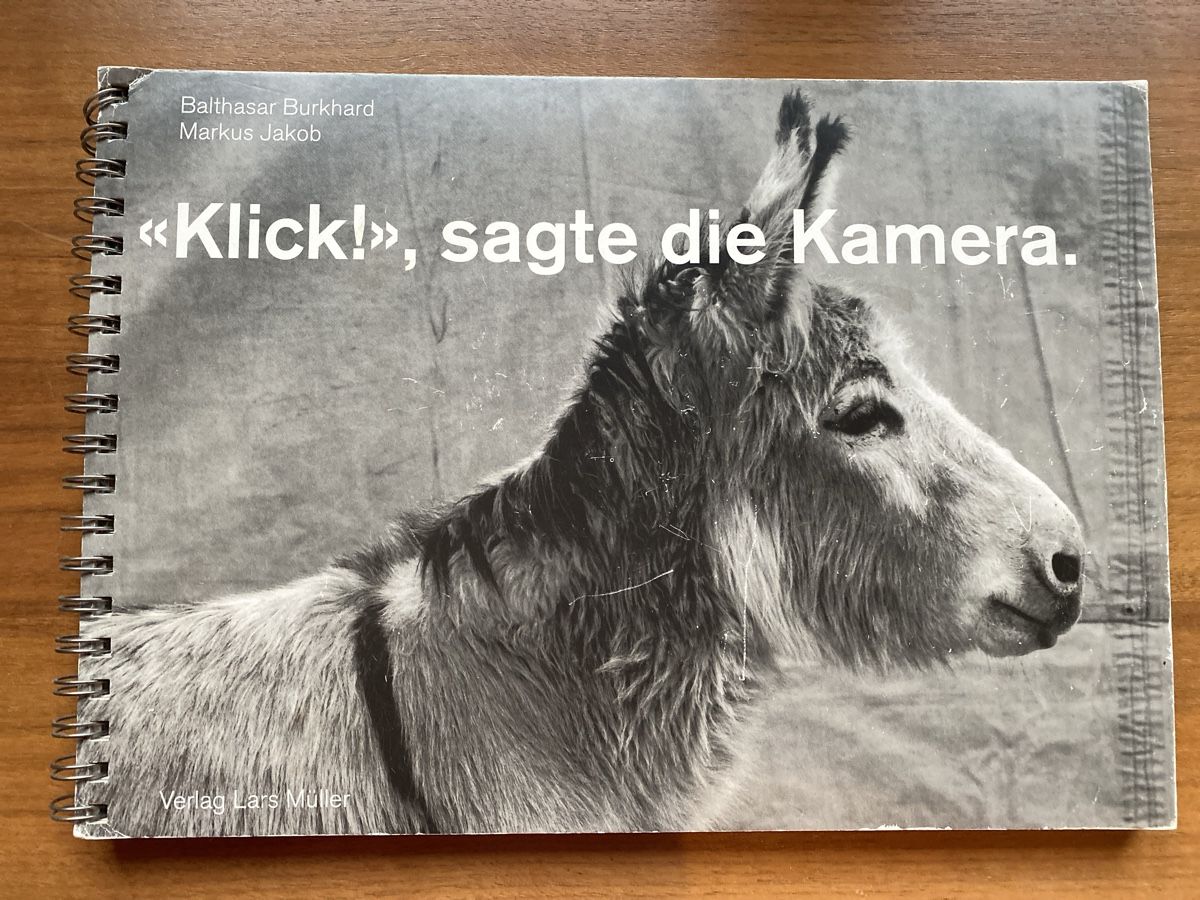 Libri: Balthasar Burkhard. "Klick!", sagte die Kamera. – Usato da Zürich venduto da ann_9fv5