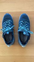 chaussure de randonnée Lowa Pro Lo Gore -Tex bleue