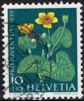 PJ - 10 Rp. Sumpfdotterblume mit Retusche / ABART