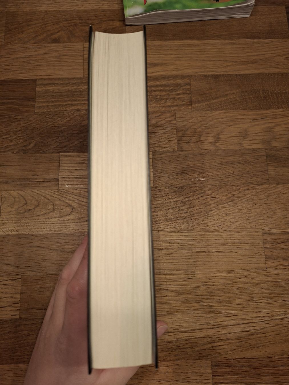 Libri: Der Hobbit, J.R.R. Tolkien - Hardcover – Nuovo (secondo la descrizione) da Bärau venduto da wid_7yqd 3