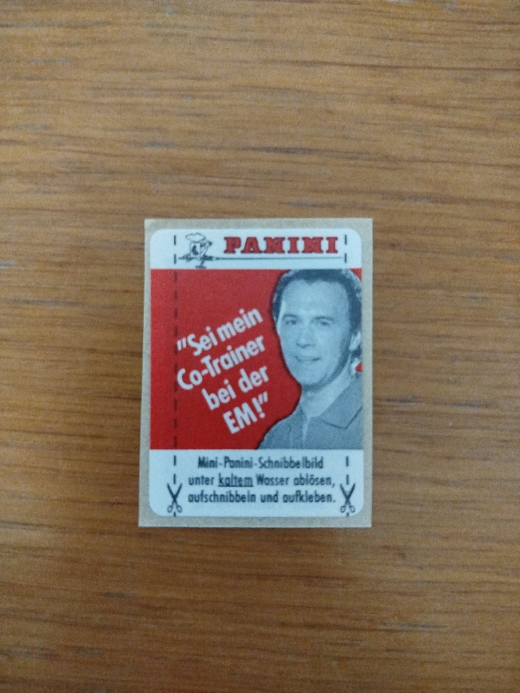 Panini Cartes à collectionner: Panini EM88 Poster + Extra-Sticker Coca-Cola – D'occasion à Wettingen par mirna04 1