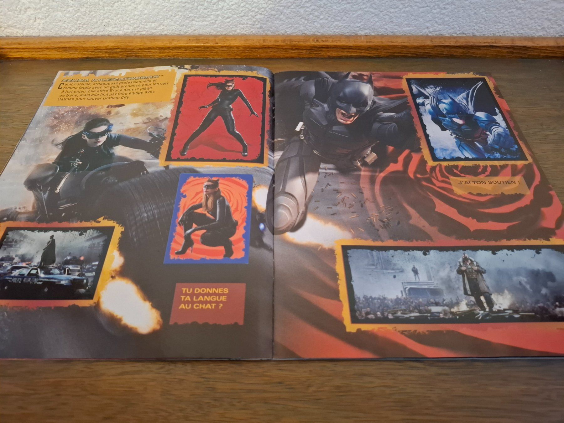 Panini Album: Album Panini - Batman - COMPLET - Comme neuf – Nuovo (secondo la descrizione) da Meinier venduto da Gattuso22 5