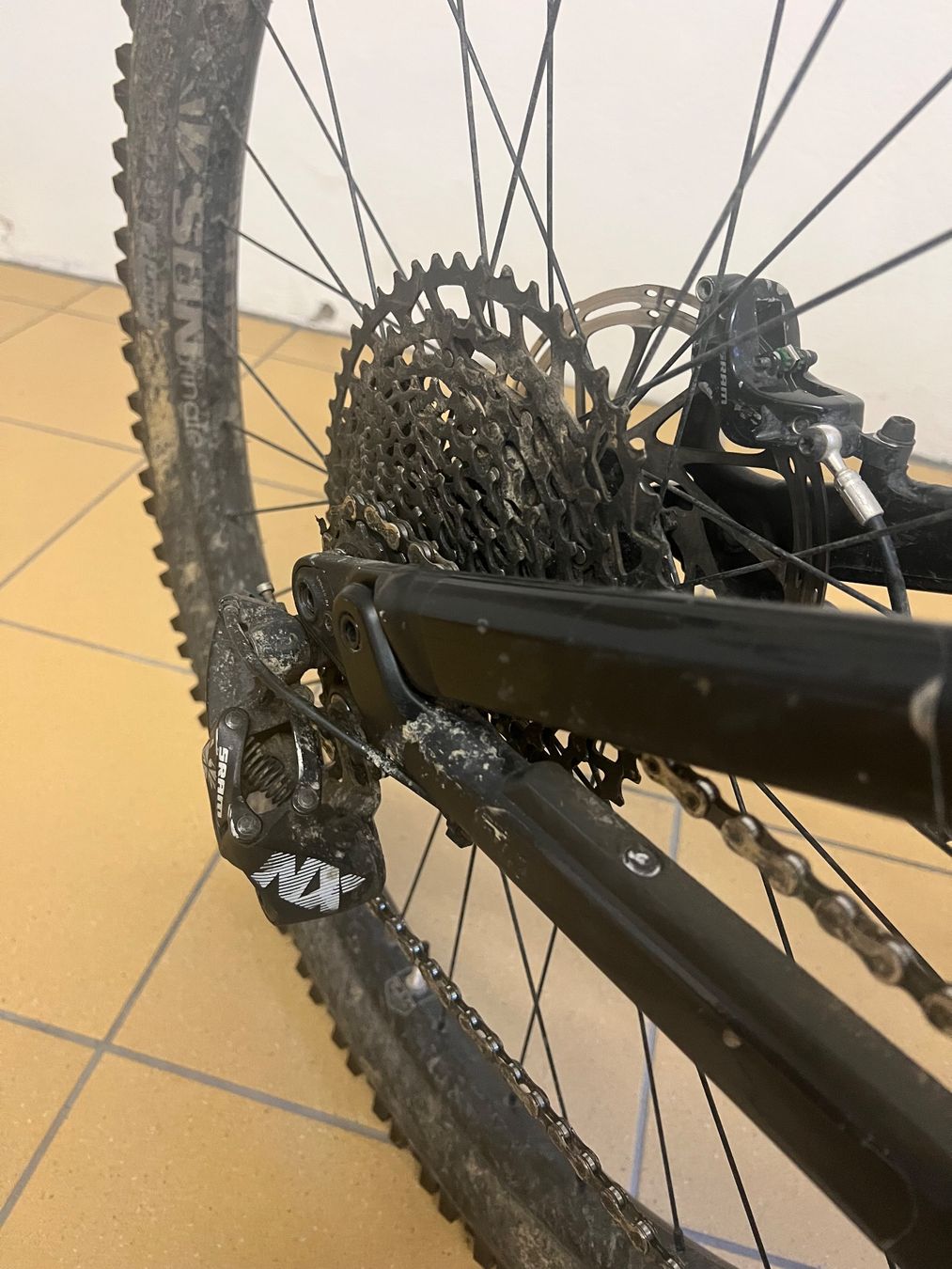 Canyon Biciclette: Canyon AL (XL) – Usato da Zürich venduto da KronossonorK 7