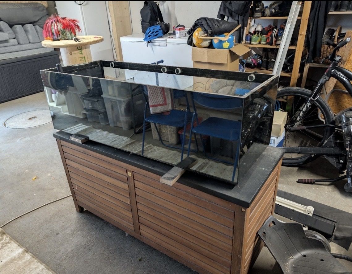 Aquarium: Grosses Aquarium mit Untergestell + Filterbecken – Gebraucht aus Wohlen AG von jes_9c79 3