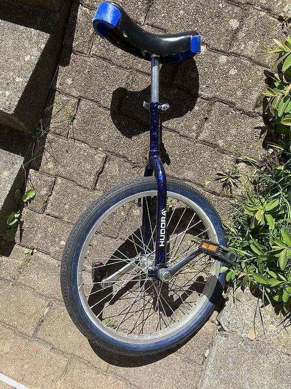 Biciclette: Hodura Einrad 20 Zoll – Usato da Frutigen venduto da corinnepf