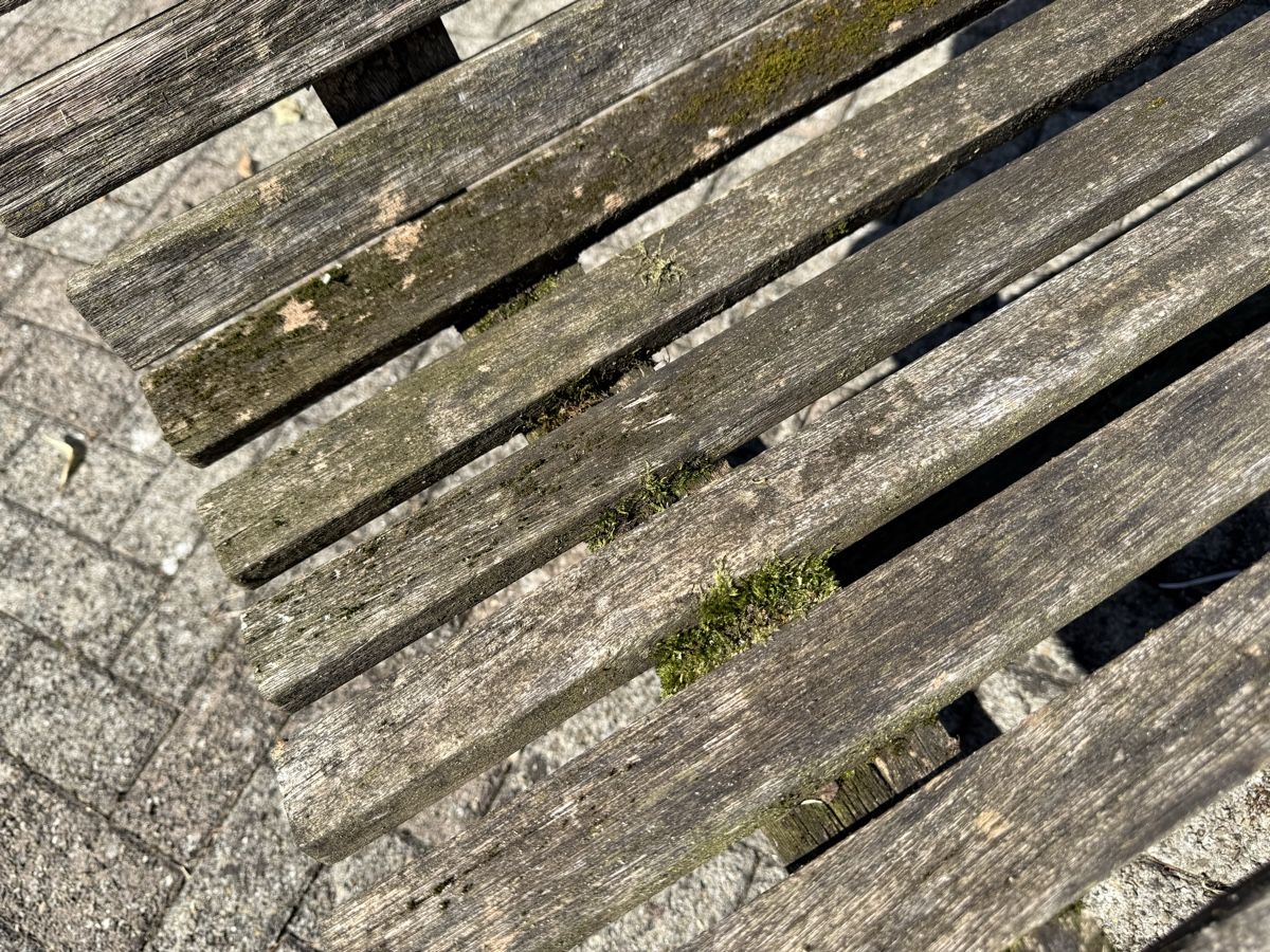 Panchine: Gartenbank Holz gebraucht – Usato da Menzengrüt venduto da SC1973 2