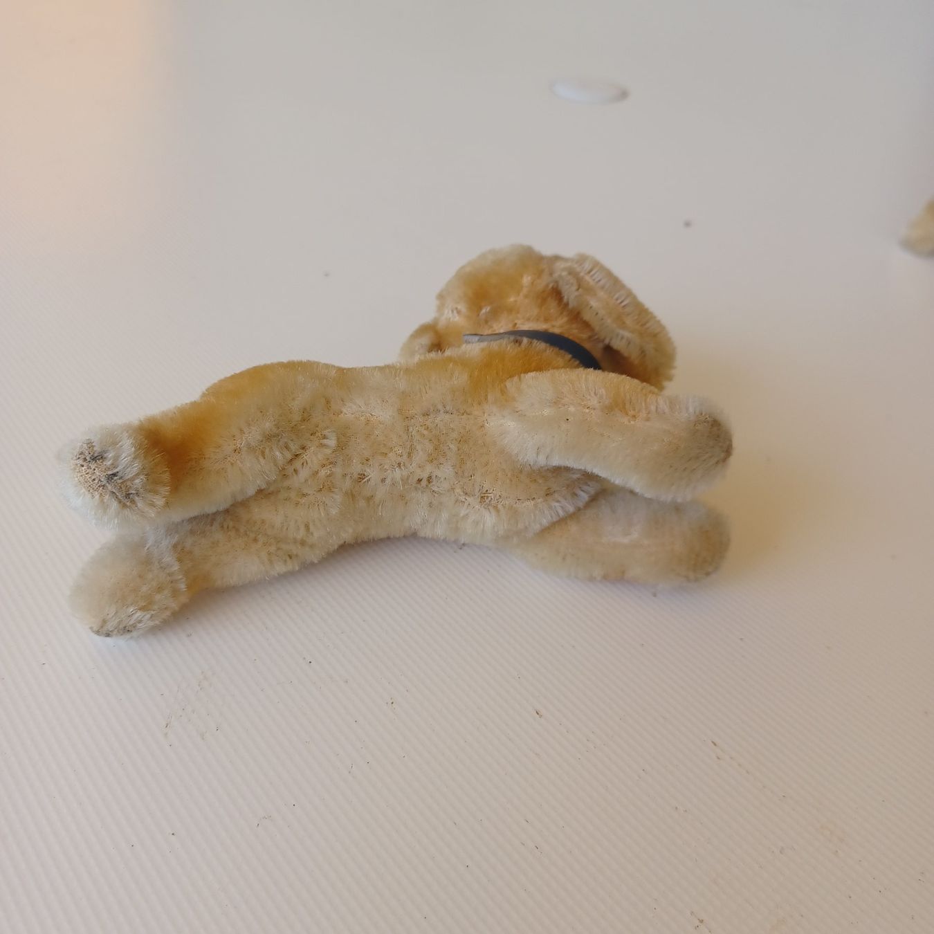 Steiff Giocattoli: Steiff kleiner Hund 10 cm gross – Usato da Abtwil SG venduto da luupsy 4