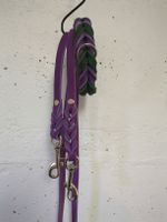 Hundeleine mit Halsband