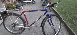 DIAMONDBACK  RACING 26 Zoll 48cm