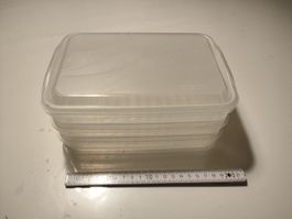 Rotho Lebensmittel Boxen - Ausschnittboxen 3x 0.75l