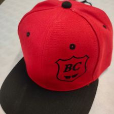 Profile image of bc_watch
