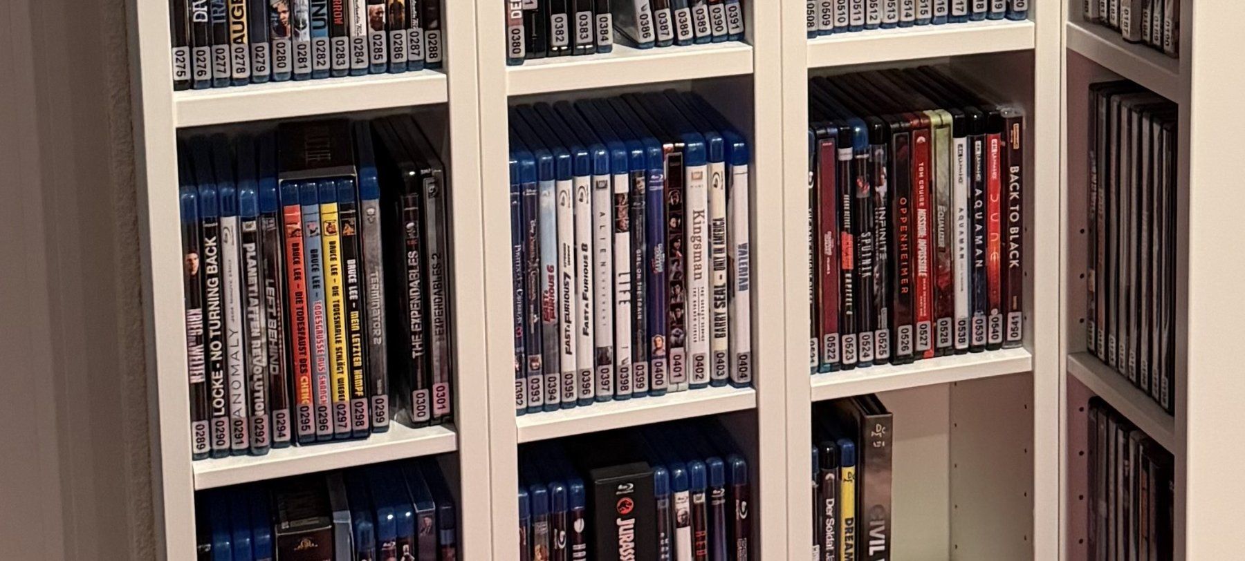 Tutti i DVDs: Film-Sammlung inkl. DVD Regale – Usato da Burgdorf venduto da maliku 4