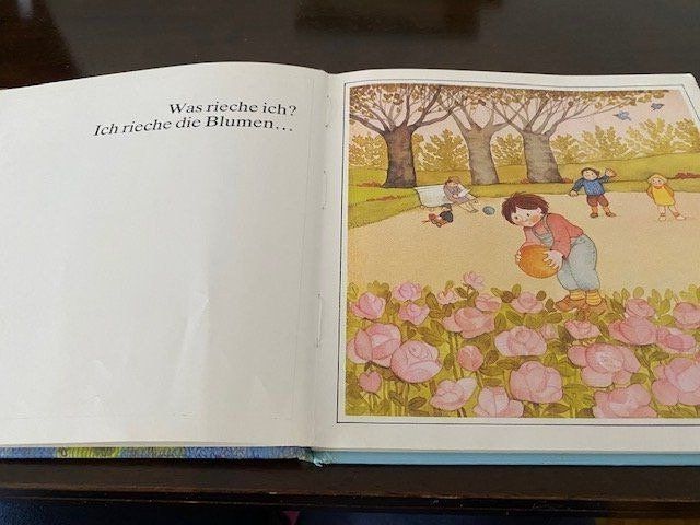Bücher: Kinderbuch Riechen – Gebraucht aus Emmen von Aribini 2