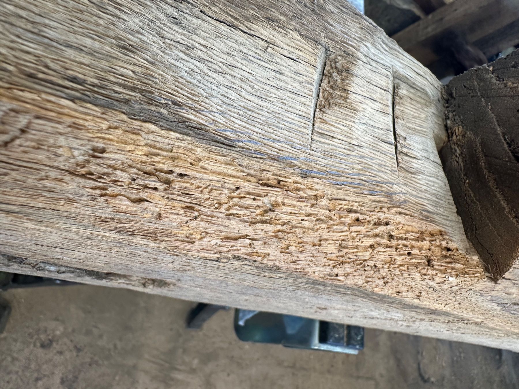 Holzartikel: Alter Eichenbalken mit historischen Zapfenlöchern – Gebraucht aus Breitenbach von kaufmann-j 6