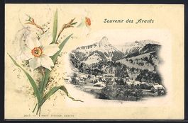 Les Avants, Ortsansicht aus der Vogelsch