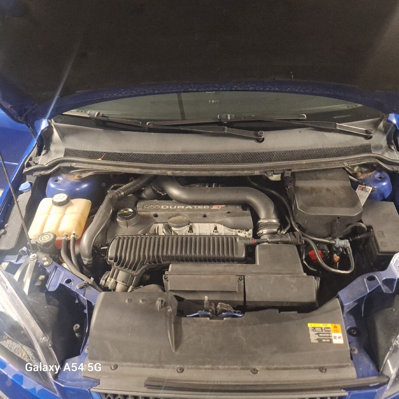 Ford Automobili: Ford Focus ST🔥 – Usato da Geuensee venduto da Goldenhand 6
