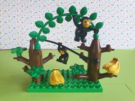 Duplo (Y51) Set Äffchen