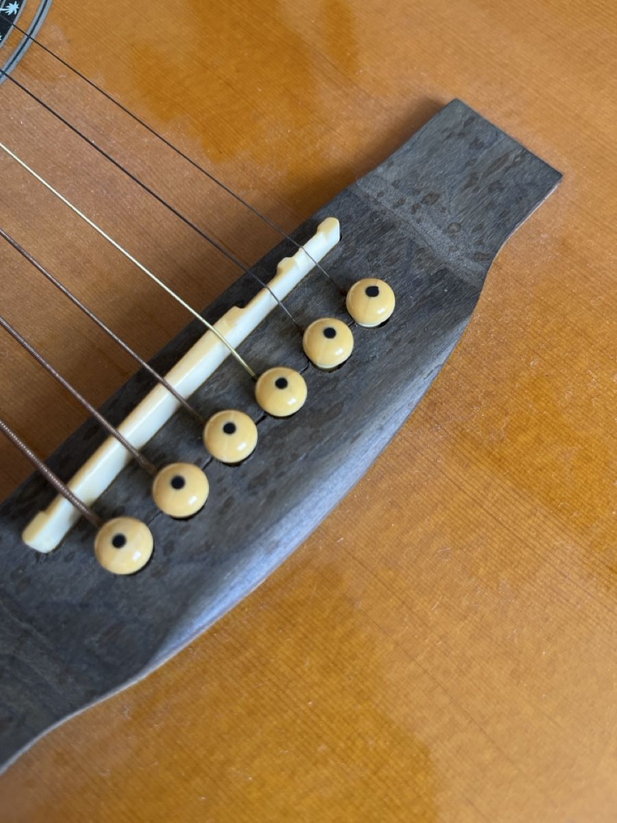 Strumenti musicali: Acustic Guitar Palmer – Usato da Genève venduto da dan_g2d7 5