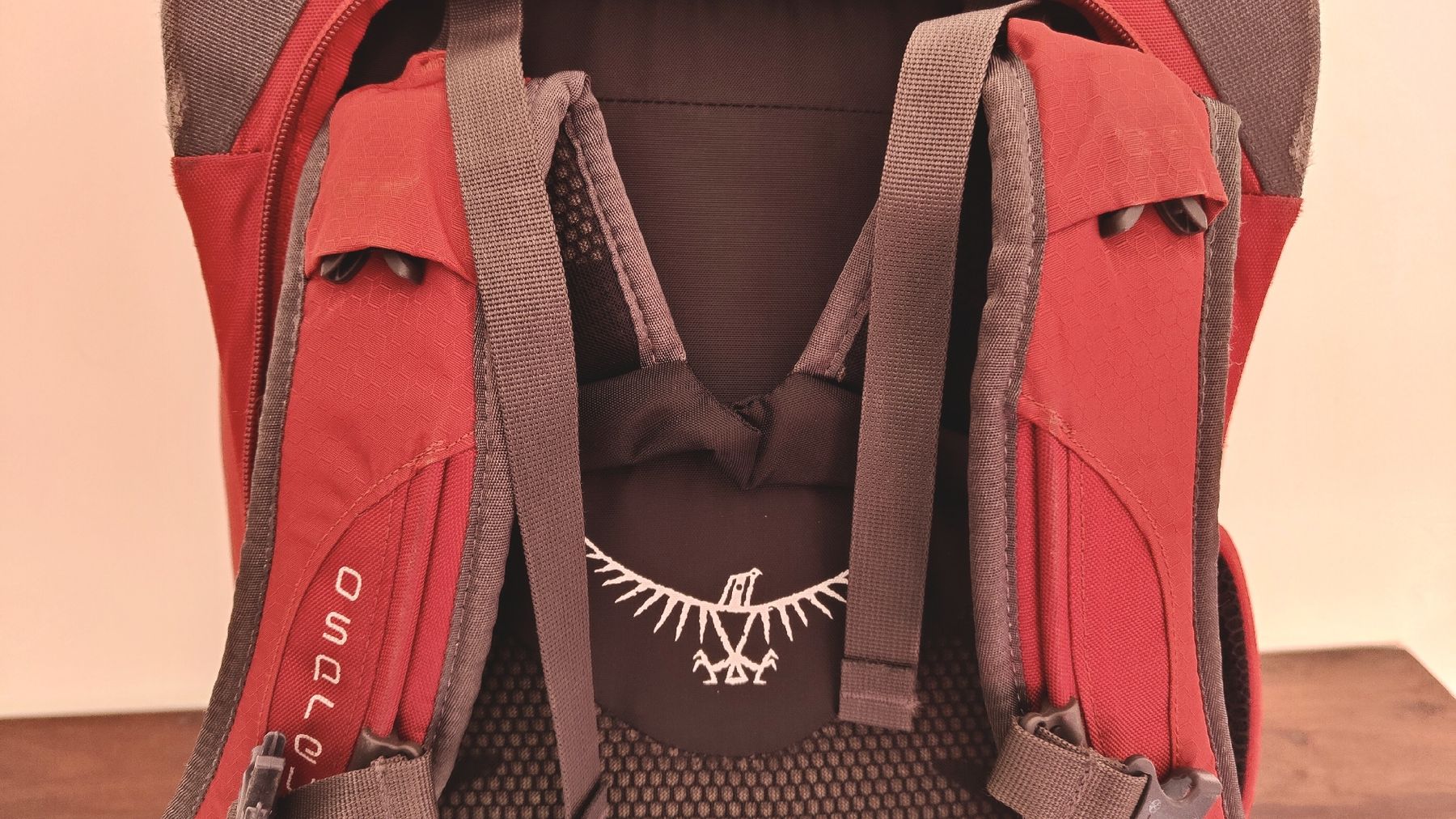 Osprey Zaini: Zaino OSPREY FARPOINT 70 – Usato da Lugano venduto da claudio.luga 5