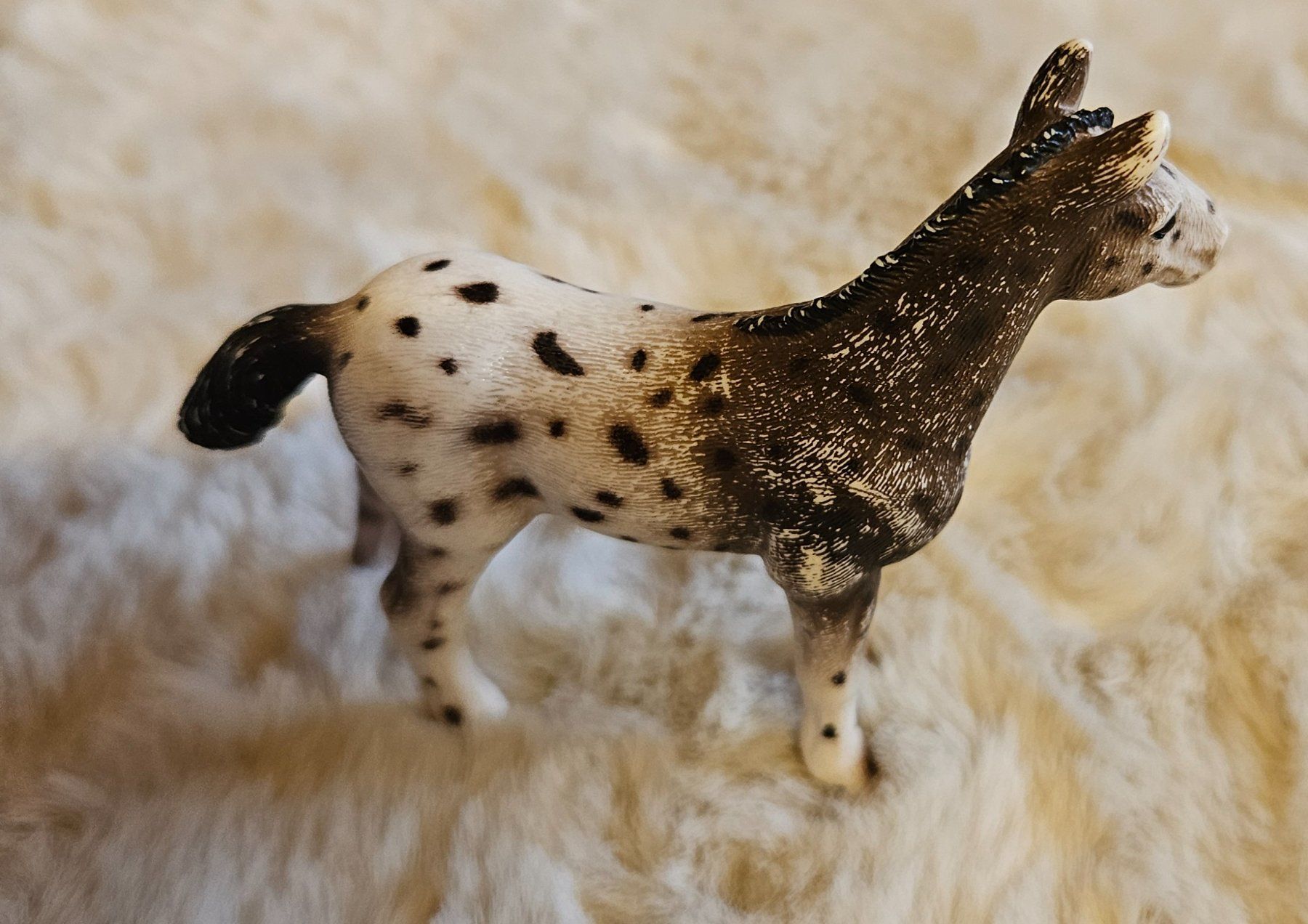 Schleich Giocattoli: Schleich Fohlen – Usato da Muolen venduto da xania82 1