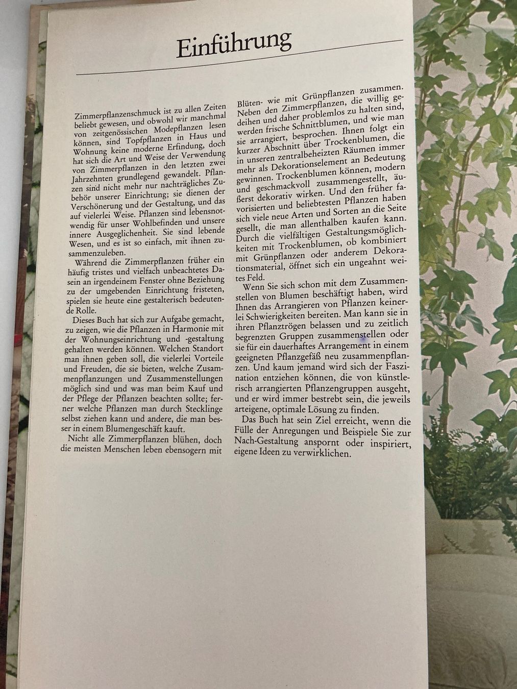 Libri: Zimmerpflanzen und Balkongärten – Usato da Frauenfeld venduto da AlphaCentauri369 3