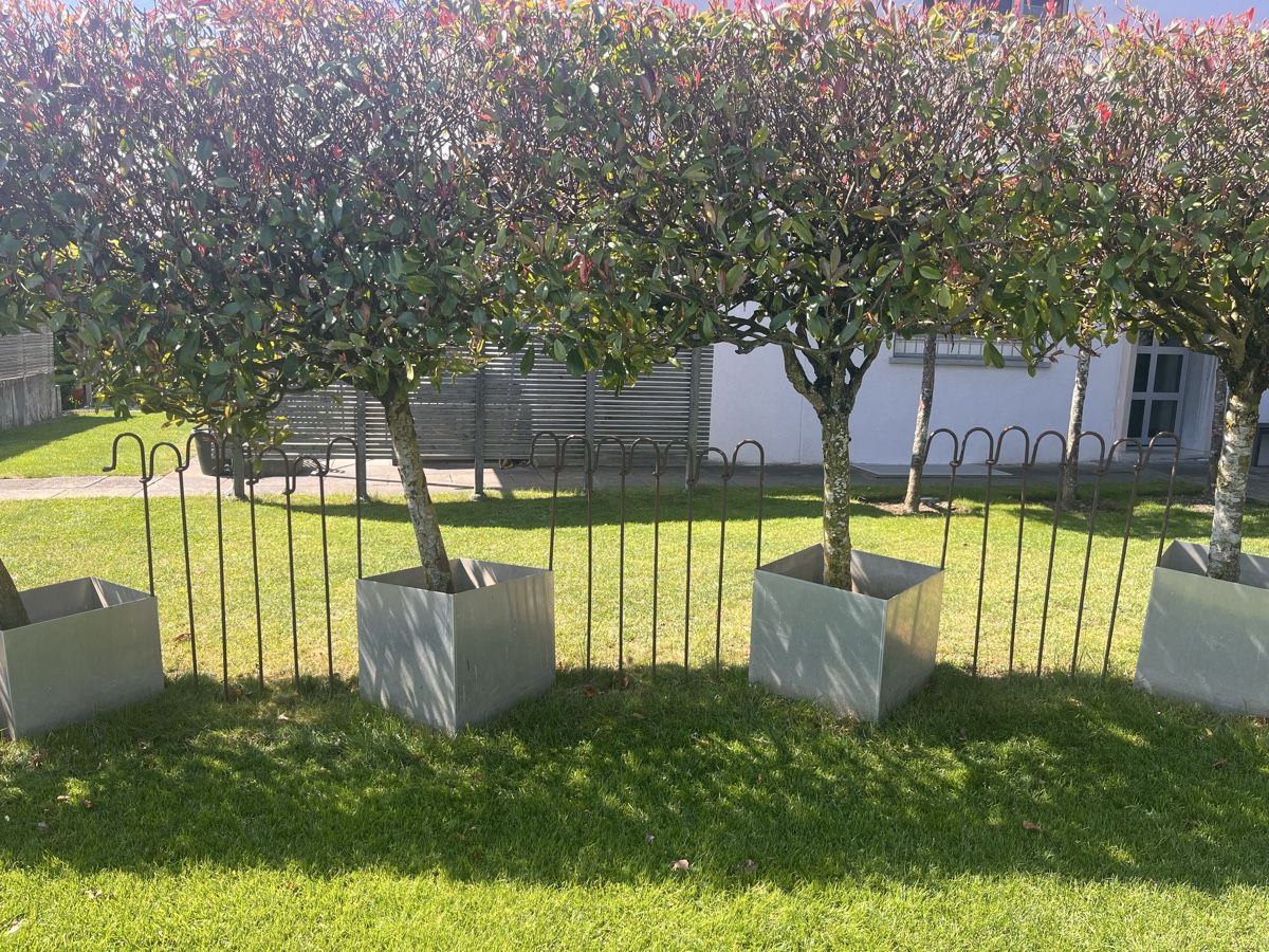 Fendivista: Gartenzaun Eisen, 42 Stück  – Usato da Rümlang venduto da siaa 1