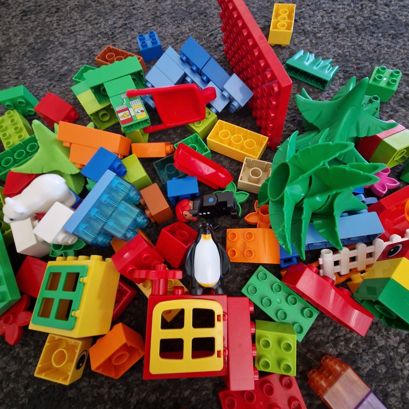 Lego Giocattoli: Duplo, Bausteine, Platten, Tiere – Usato da Gränichen venduto da sunchi07 3
